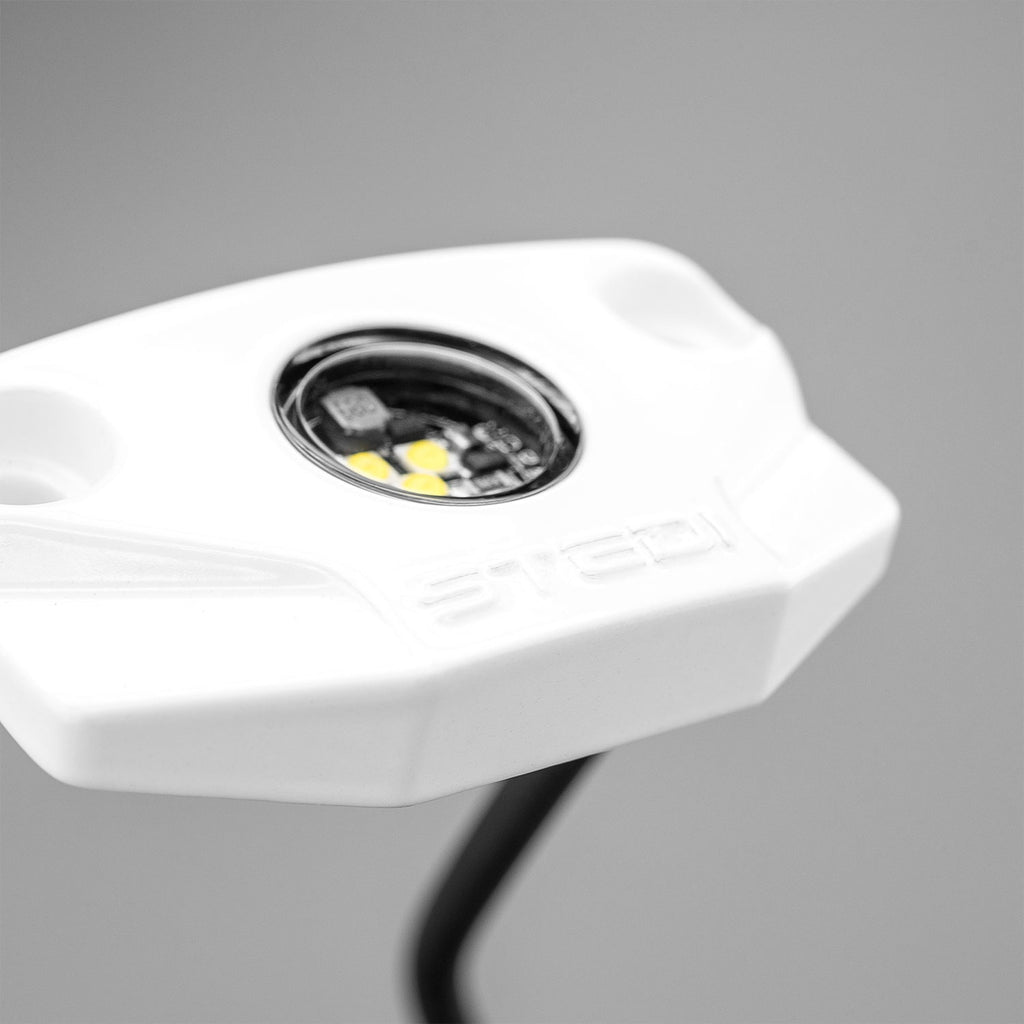 STEDI Marine Rock Light in use
