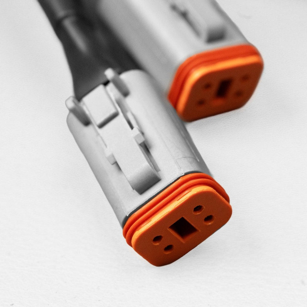 STEDI Dual Connector DT-4 Smart Harness