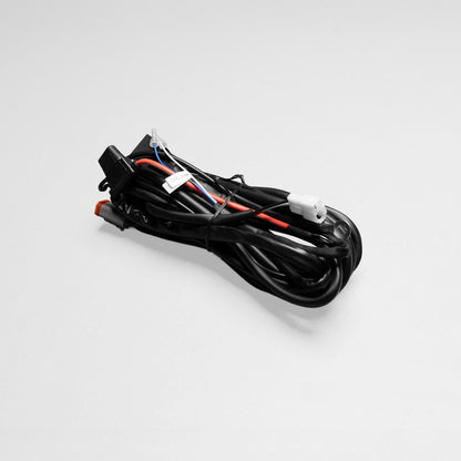 STEDI Dual Connector DT-4 Smart Harness
