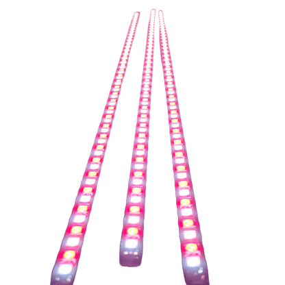 Flex 3 Light LED Awning Kit - White, Red, Amber - image 2