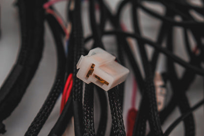 TRAILBAIT N90 Hilux High Beam Wiring Kit - image 3